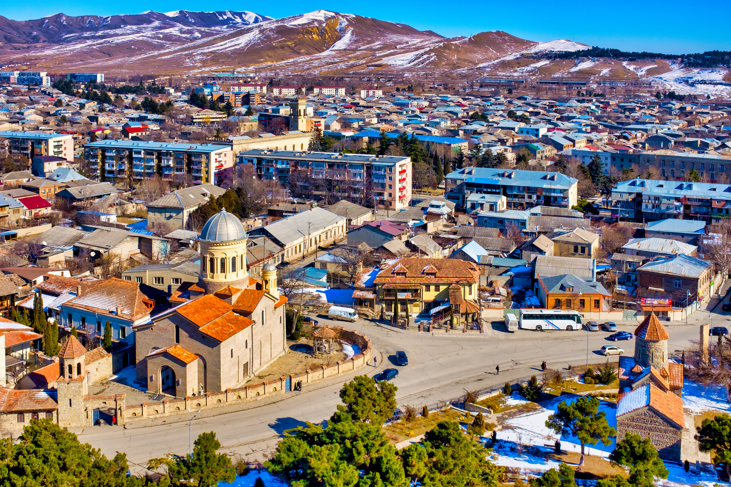 gori (2).webp